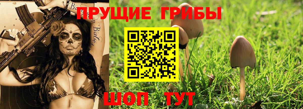 Псилоцибиновые грибы мухоморы Дальнегорск
