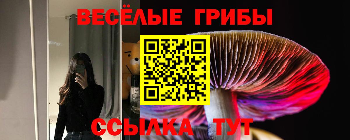 Как найти закладки?  Гашиш  Гашиш  МЕТАМФЕТАМИН  КОКАИН  Экстази  Мефедрон  Вход с VPN  Меф   Дальнегорск  Конопля  МЕТАДОН 